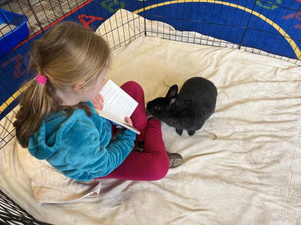 Child reading to a rabbit