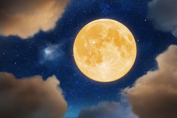 Image for event: Curious Minds: International Observe the Moon Night