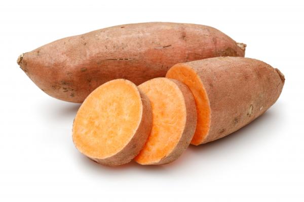 A sweet potato that will be used to turn into candied yams.